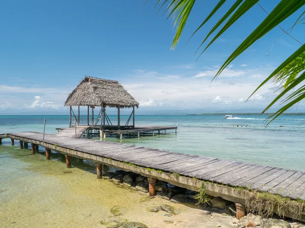 Bocas del toro Beach'de