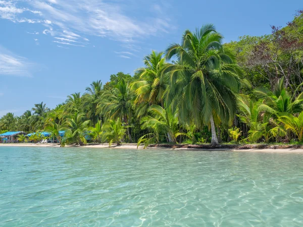 Playa en bocas del toro — Foto de Stock