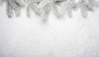 beyaz kar ve çam iğneleri arka plan