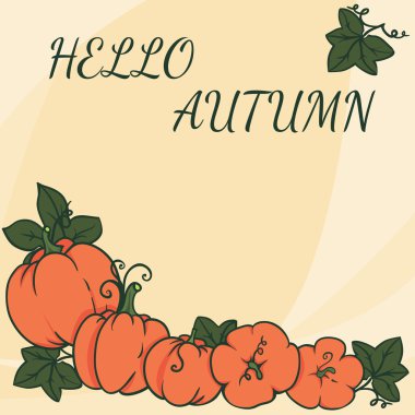 Kabak ile renkli kart