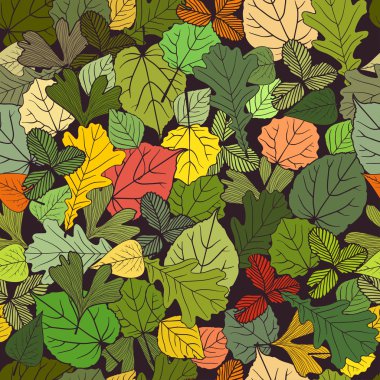 Yaprakların kusursuz deseni