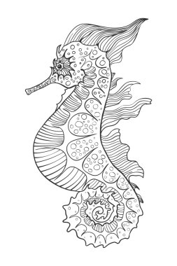 Siyah ve beyaz deniz atı