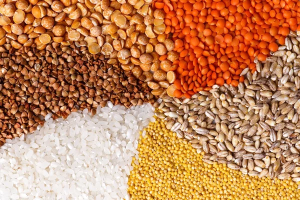 Bükülmüş tahıllar: bezelye mercimek buğday darı pirinç buğday portre