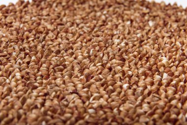 Pişmemiş buğday closeup makro izole