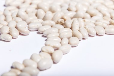 Çiğ beyaz fasulye closeup makro izole