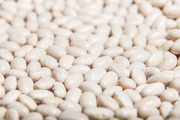 Çiğ beyaz fasulye closeup makro