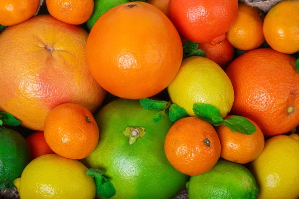 Mound citrus op macro ontslaan — Stockfoto