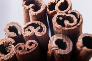 Tarçın canella beyaz arka plan yakın çekim makro üzerinde sopa.