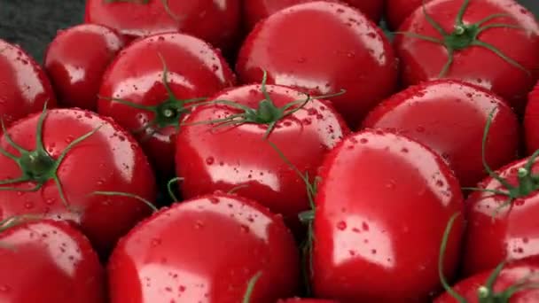 Background of rotating red tomatoes render 3D — Stock Video