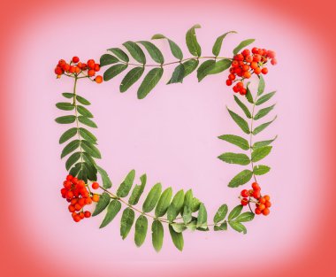 çerçeve çiçek ve bitkilerin