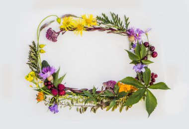 çerçeve çiçek ve bitkilerin