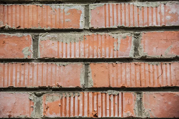 Kırmızı tuğla duvarı