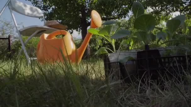 Садовый гном, полив банка и грабли во дворе сада — стоковое видео
