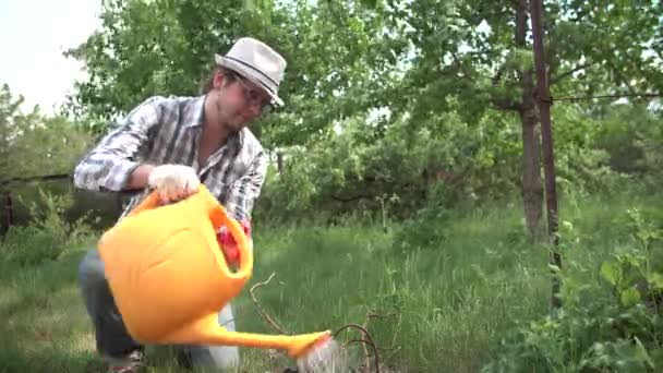 Um homem novo no jardim que molha as plantas de uma lata molhando — Vídeo de Stock