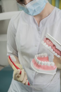 Hastanede takma diş ve diş fırçası tutan diş hekimi