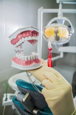 Hastanede takma diş ve diş fırçası tutan diş hekimi
