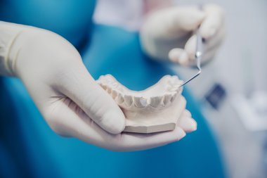 Lastik eldiven giyiyor ve diş döküm tutarak diş hekimi 