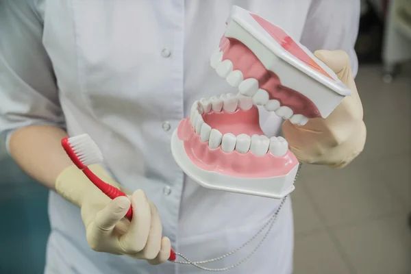dentist holding set of false teeth and toothbrush in hospital