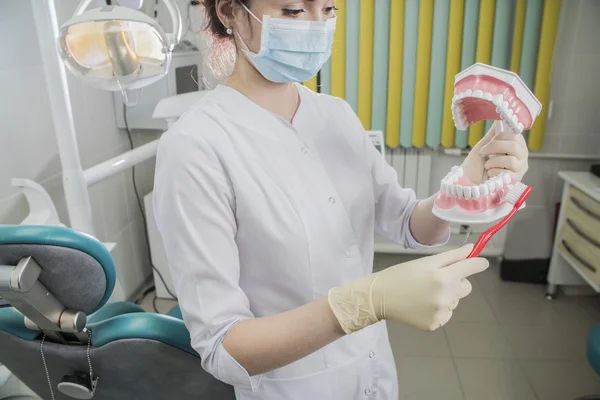 Vrouw Tandarts Met Medische Gezichtsmasker Valse Tanden Het Werk Het — Stockfoto