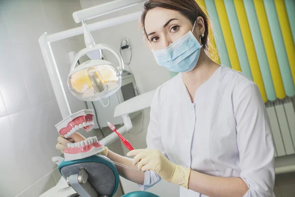 Vrouw Tandarts Met Medische Gezichtsmasker Valse Tanden Het Werk Het — Stockfoto