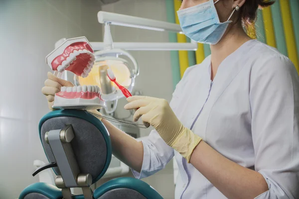 Vrouw Tandarts Met Medische Gezichtsmasker Valse Tanden Het Werk Het — Stockfoto