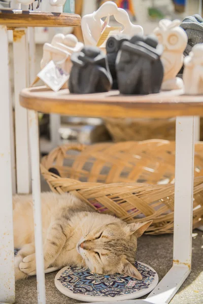 Cute Cat Street Greece — Stock Photo, Image