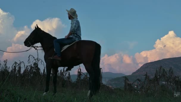 Cowboy Horse Nice Sunset — Stock Video