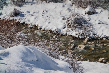 Kış ormanındaki dağ deresi