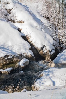 Kış ormanındaki dağ deresi