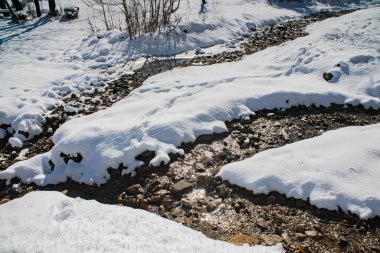 Kış ormanındaki dağ deresi