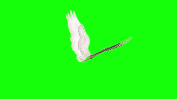 天使の翼をループさせる3Dレンダリングを羽ばたき — ストック動画