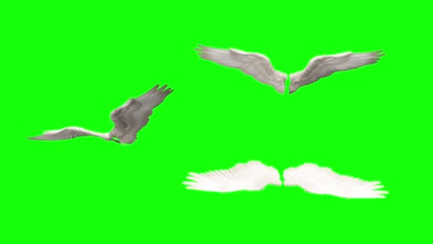 Looping Angel Wings Flapping Render — Stock Video