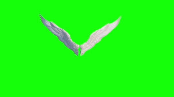天使の翼をループさせる3Dレンダリングを羽ばたき — ストック動画
