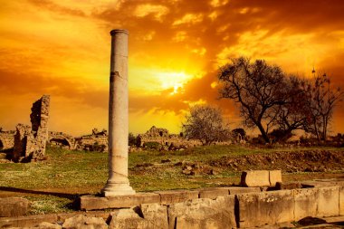 Türkiye 'de eski kalıntılar - arkeoloji geçmişi