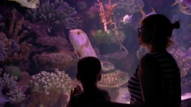 mother and child in the aquarium