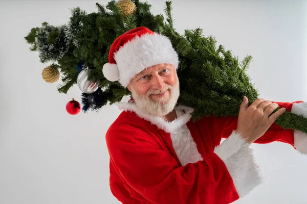 Santa Claus Holds Christmas Tree His Hands — Stock Photo, Image