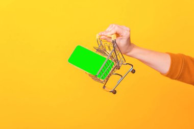 İçinde telefon olan küçük bir alışveriş arabası tutan bir kadının yakın plan fotoğrafı.