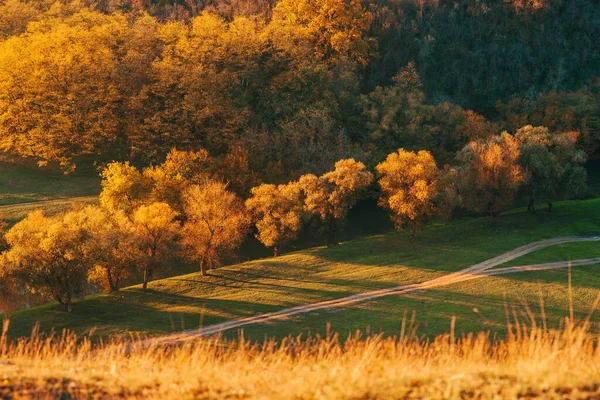 Increíble paisaje de otoño cálido y colorido en las zonas rurales — Foto de Stock