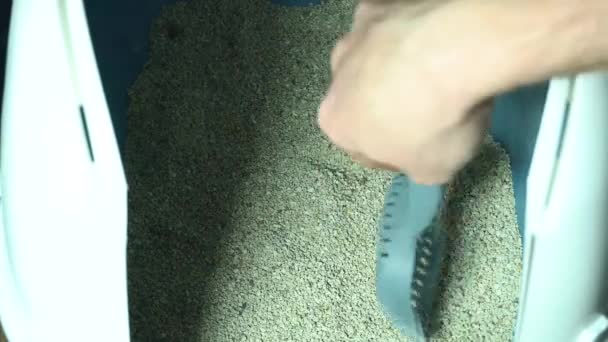 Imágenes de cerca del hombre limpiando arena de gato en casa — Vídeo de stock