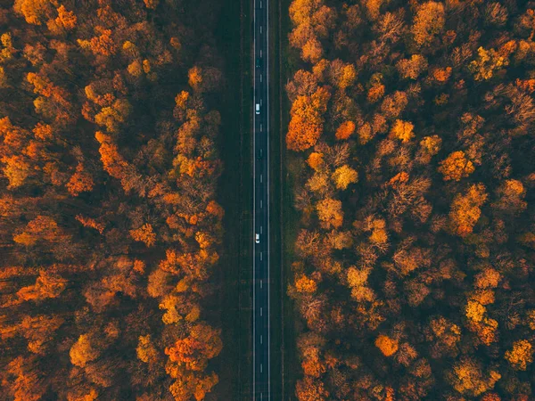 Δρόμος με αυτοκίνητα. Φθινοπωρινά χρώματα Αεροφωτογραφία από τηλεκατευθυνόμενο — Φωτογραφία Αρχείου