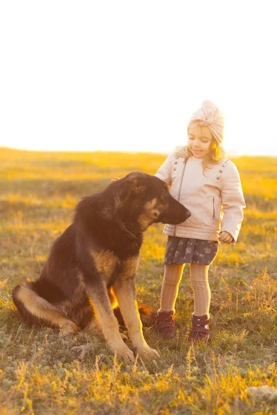 Foto de Linda niña acariciando perro en el parl o campo en la puesta del sol —  Fotos de Stock