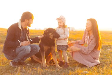 Mutlu aile köpeği tarlada