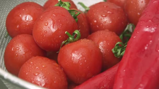 Крупним планом кадри червоних вишневих помідорів обприскування водою — стокове відео
