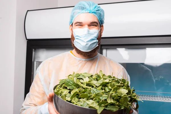 Foto di allegro chef uomo che tiene ciotola con spinaci — Foto Stock
