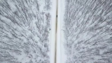 Kış boyunca ormanın ortasında bir yolun hava aracı videosu.