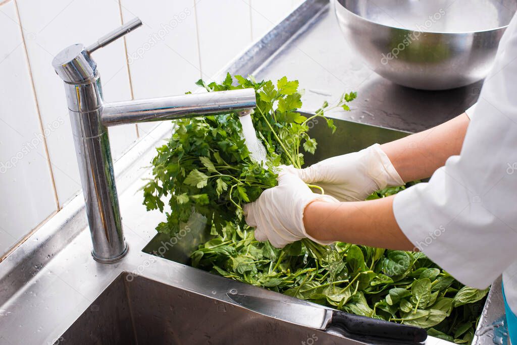 Close up photo of chef washing parsley at the kitchen