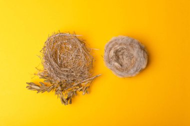 Sarı zemin üzerinde iki kuş yuvası fotoğrafı
