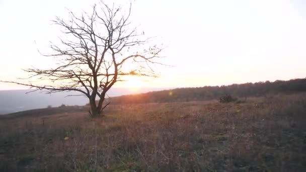 Filmación de un paisaje tranquilo en la campiña de las colinas al atardecer a finales de otoño — Vídeos de Stock