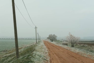 Kasaba yolu sisli bir günde donmuş yeşil tarlaların yanında.