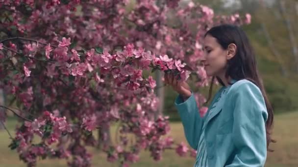 Filmación de una joven mujer de negocios hermosa oliendo flores rosadas en el árbol — Vídeos de Stock